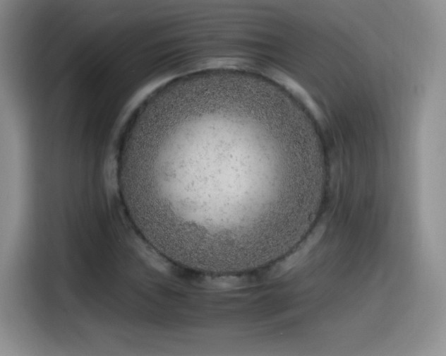 X0000114601019200910191614