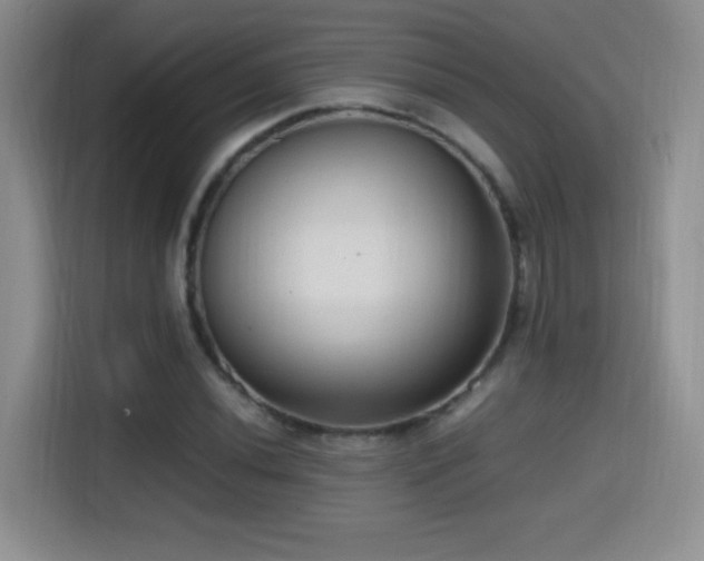 X0000114601020200910191614