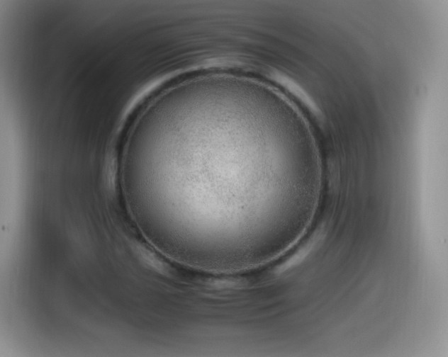 X0000114601021200910191614