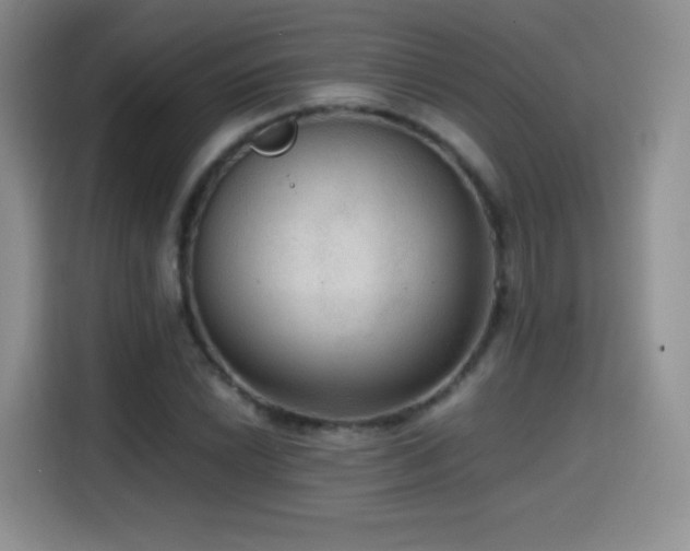 X0000114601022200910191614