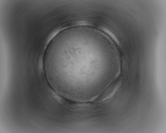 X0000114601023200910191614