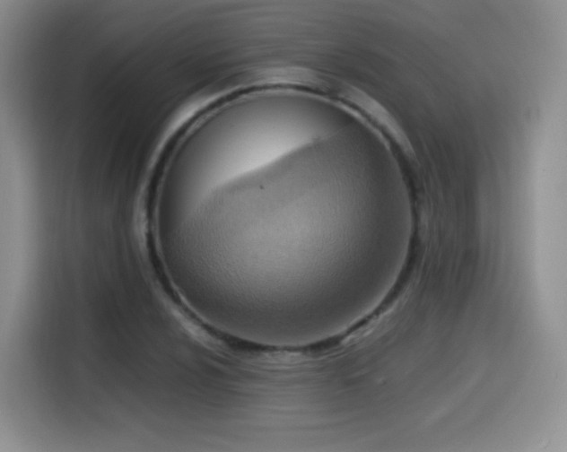 X0000114601024200910191614