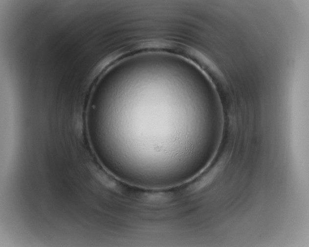 X0000114601025200910191614