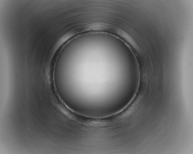 X0000114601026200910191614