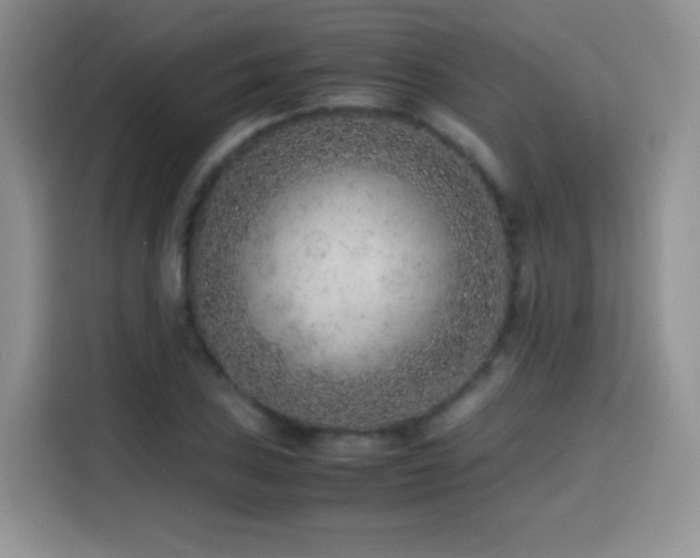 X0000114601027200910191614