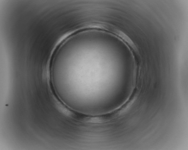 X0000114601028200910191614