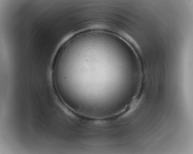 X0000114601029200910191614