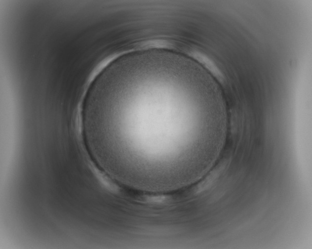 X0000114601031200910191614