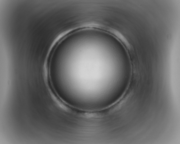 X0000114601032200910191614