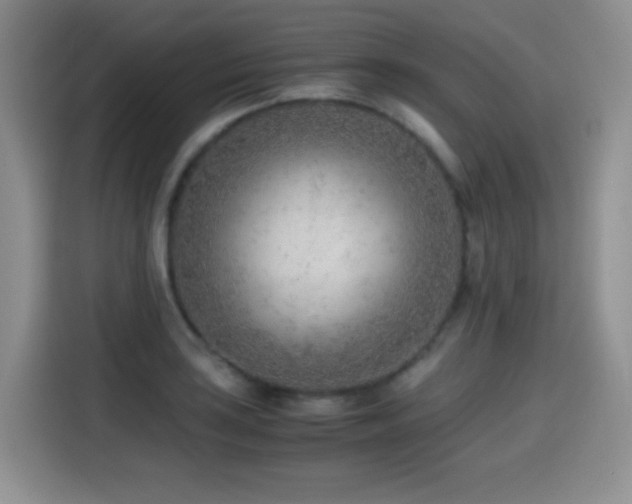 X0000114601035200910191614