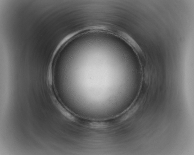 X0000114601036200910191614