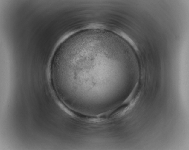 X0000114601037200910191614