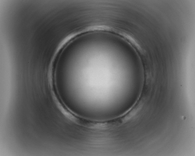 X0000114601038200910191614