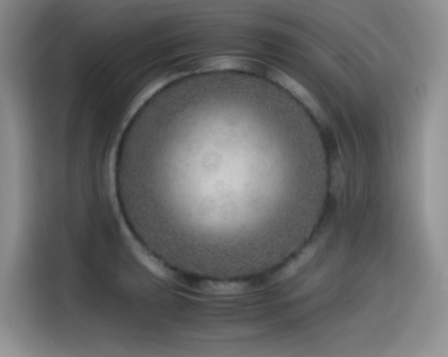 X0000114601039200910191614