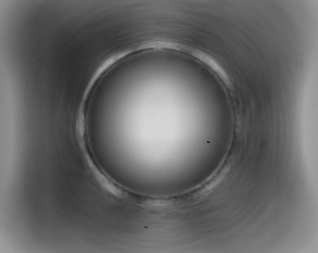 X0000114601040200910191614