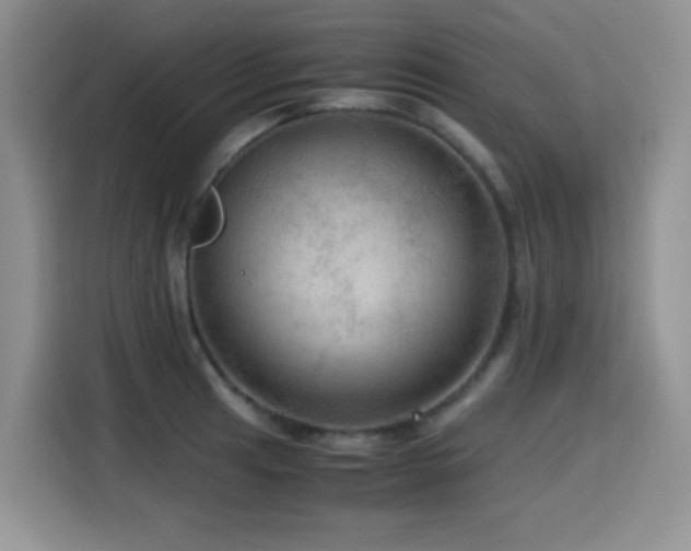 X0000114601041200910191614