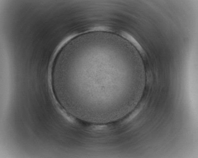 X0000114601043200910191614