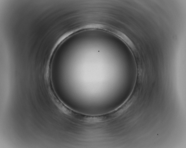 X0000114601044200910191614