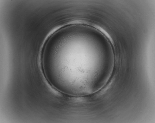 X0000114601045200910191614