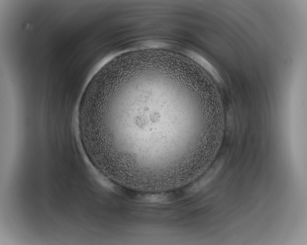 X0000114601047200910191614