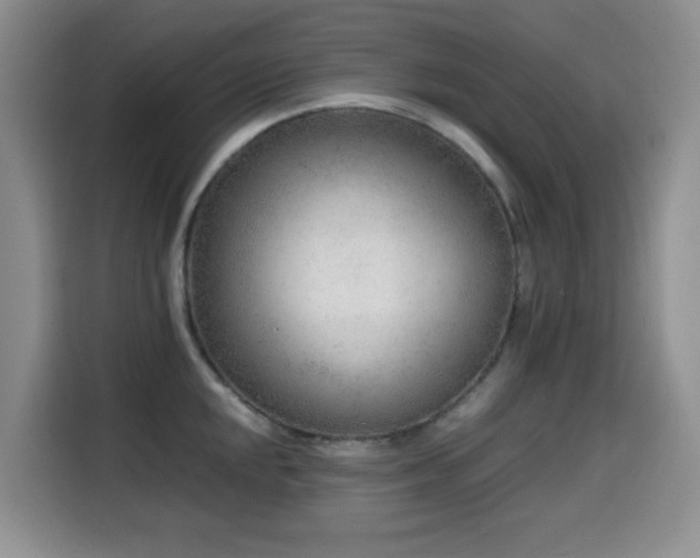 X0000114601048200910191614