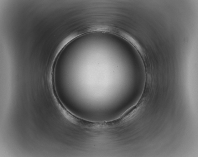 X0000114601050200910191614