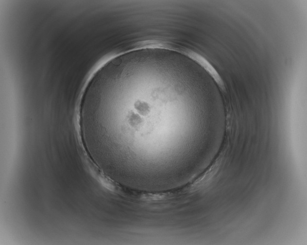 X0000114601051200910191614