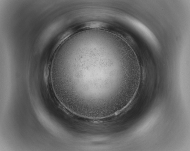 X0000114601052200910191614