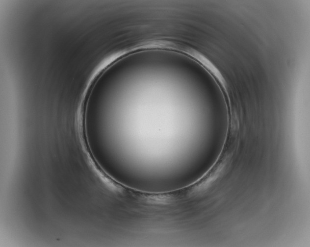 X0000114601053200910191614