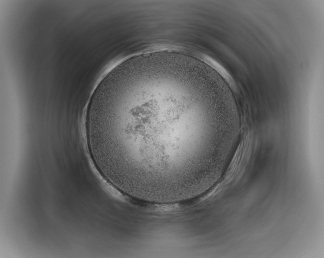 X0000114601055200910191614