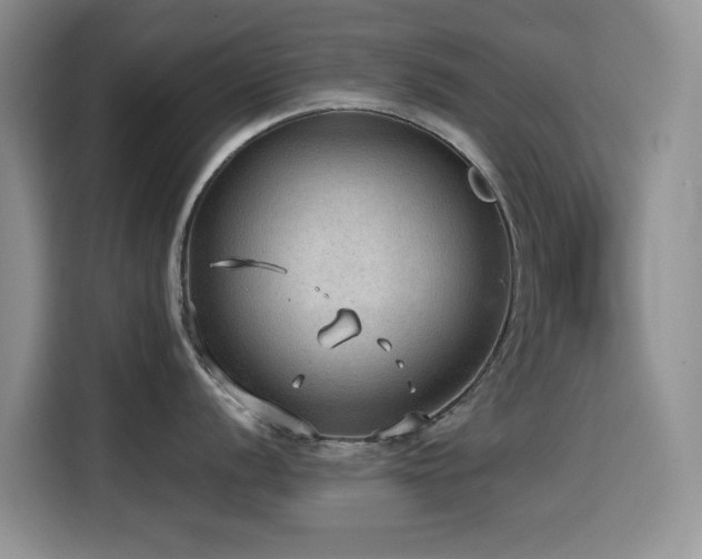 X0000114601056200910191614