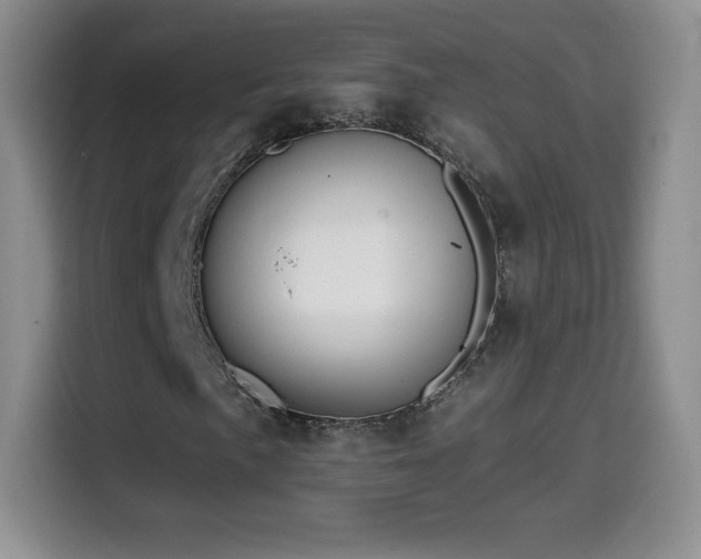 X0000114601057200910191614