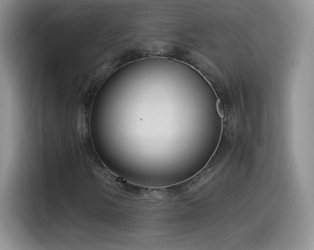 X0000114601058200910191614