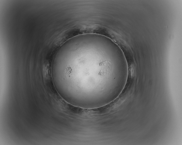 X0000114601059200910191614