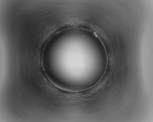 X0000114601060200910191614