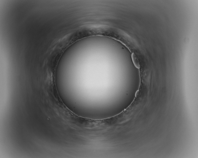 X0000114601061200910191614