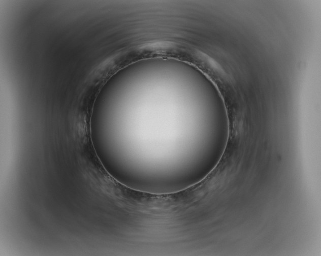 X0000114601062200910191614