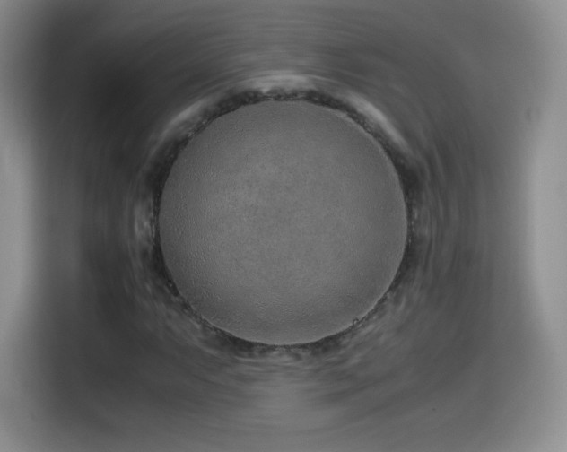 X0000114601063200910191614