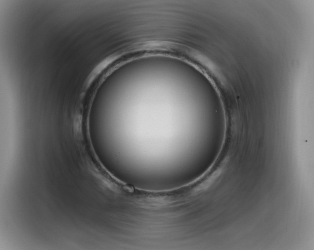 X0000114601066200910191614