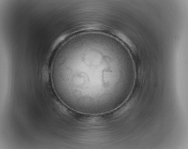 X0000114601067200910191614