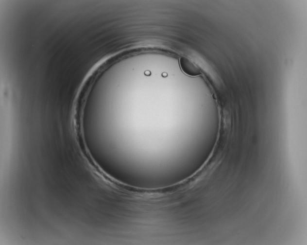 X0000114601068200910191614