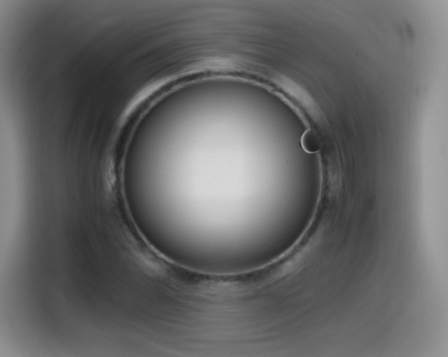 X0000114601070200910191614