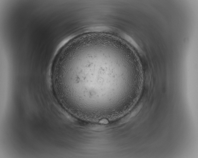 X0000114601071200910191614