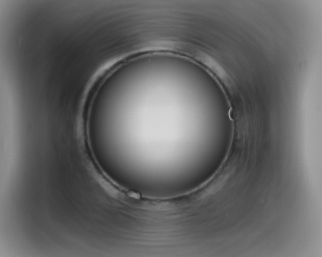 X0000114601072200910191614