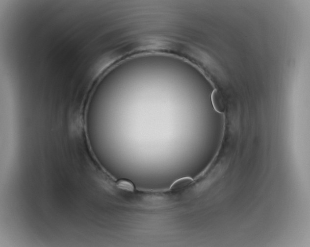 X0000114601073200910191614