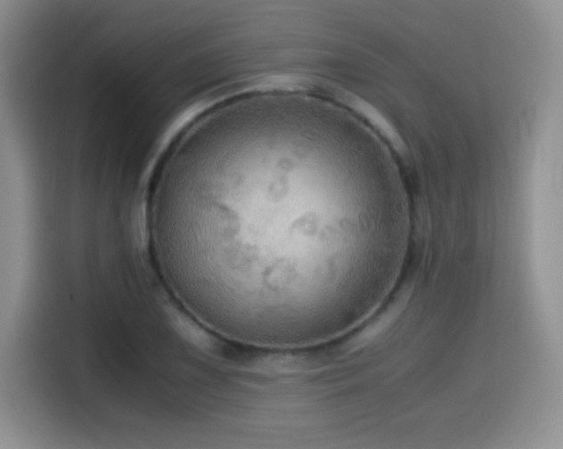 X0000114601075200910191614