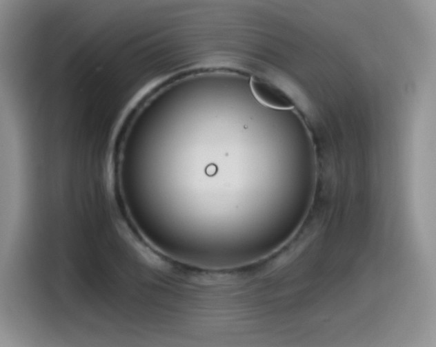 X0000114601076200910191614