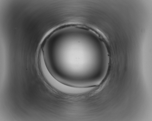 X0000114601077200910191614