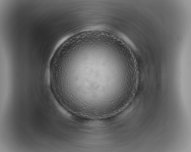 X0000114601079200910191614