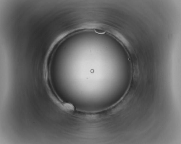 X0000114601080200910191613